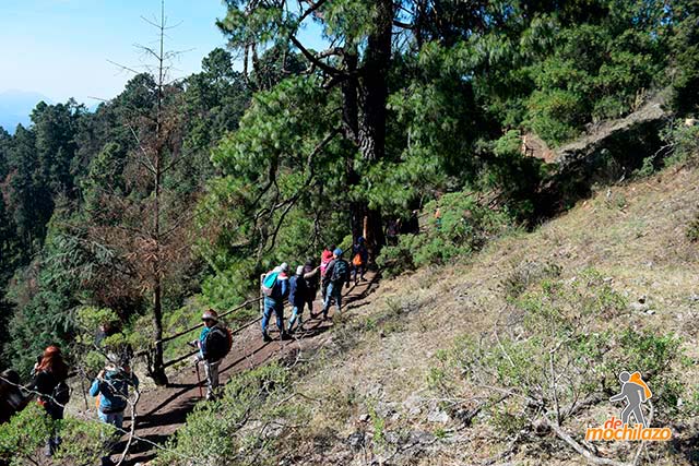 Personas Caminando Sierra Chincua Santuario Mariposa Monarca De Mochilazo