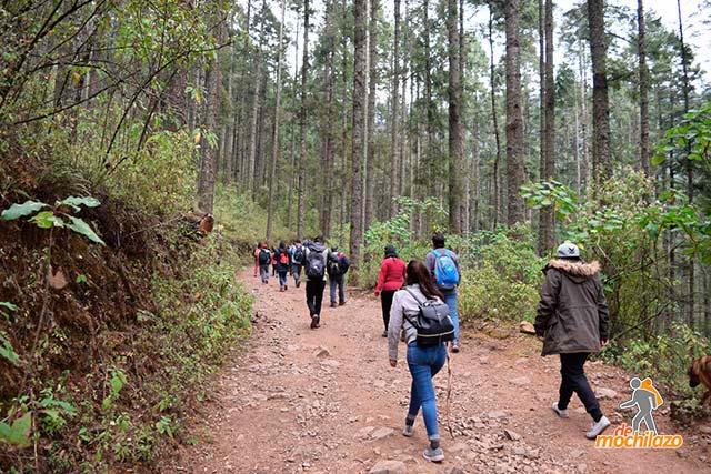 Personas caminando Sierra Chincua Mariposa Monarca De Mochilazo